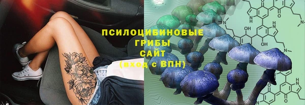 трава Абдулино