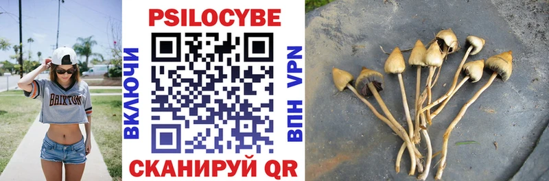 Галлюциногенные грибы Psilocybe наркотики Ильский