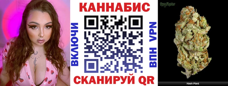 OMG ONION  Ильский  Бошки марихуана тримм  наркота 